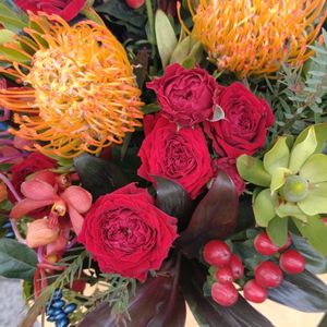 鉢植え,ガーデニング,花束,散策,お祝い花の画像