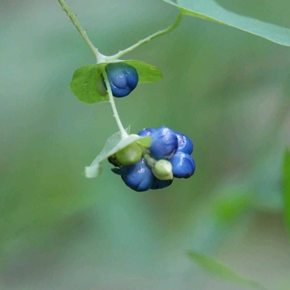 serendipityrumiさんの戸塚区への投稿