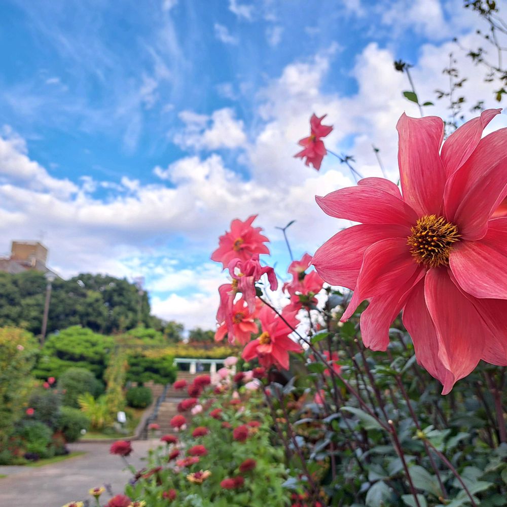 エリィさんの港の見える丘公園への投稿