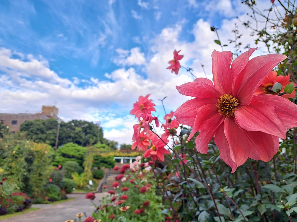 エリィさんの港の見える丘公園への投稿