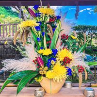 キク,セイタカアワダチソウ,ヨメナ,ヨモギ,重陽の節句の画像