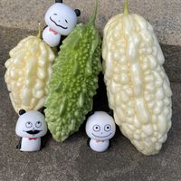 ゴーヤ,実♡,パンダの日,☆携帯撮影☆,kakirikea野菜果物の画像