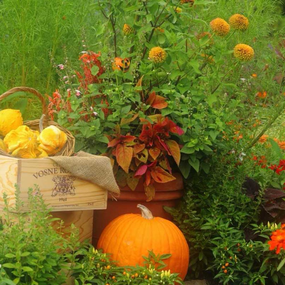 maroさんの里山ガーデン（大花壇）への投稿