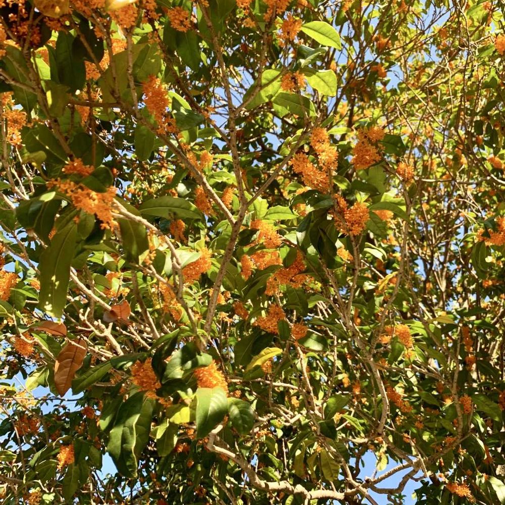 シゲルさんの港の見える丘公園への投稿