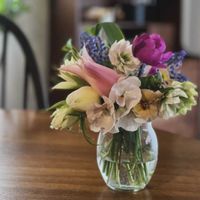 チューリップ,花瓶,庭の画像