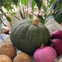 クルクマ,カボチャ,今日のお花,こんな風景が好き,キッチンの画像