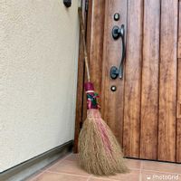 コキア,黒竹,家庭菜園奮闘日記,コキアのほうき,チーム岐阜の画像