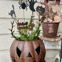 ケイトウ,とうがらし,ローズマリー,おばけカボチャ,悪魔の爪の画像