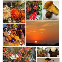 グロリオサ,アンスリューム,パンパグラス！,ハイビスカス　ミステリーサークル,夕焼けの画像