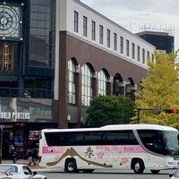 イチョウ,アレチハナガサの画像