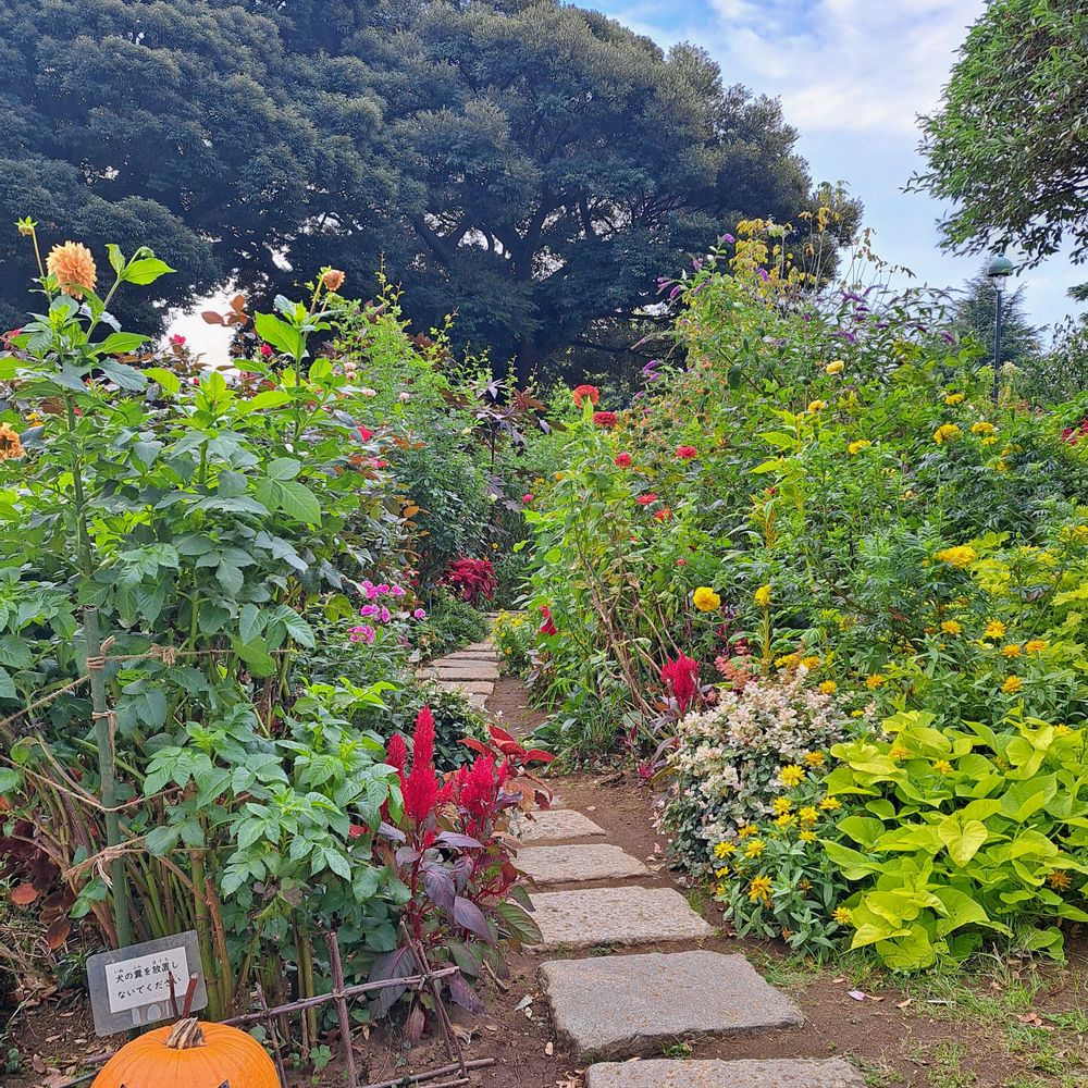 エリィさんの港の見える丘公園への投稿