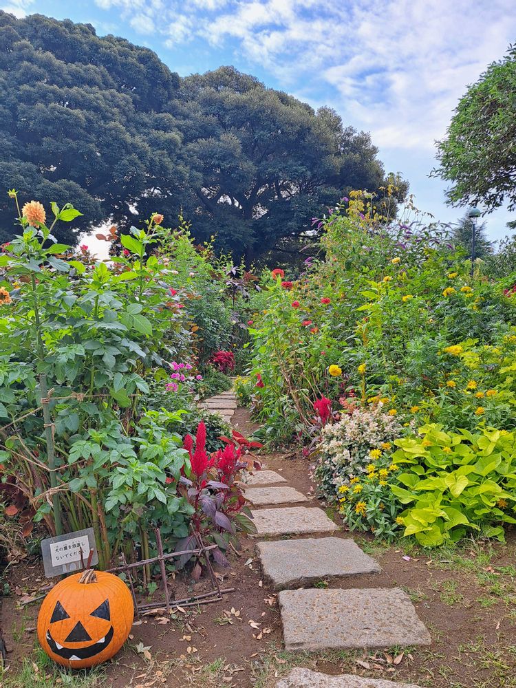 エリィさんの港の見える丘公園への投稿