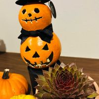 センベルビウム,多肉トラムソ,多肉植物 エケベリア,可愛い,癒されるの画像