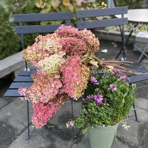 北海道,オーガニック野菜 ,庭の画像