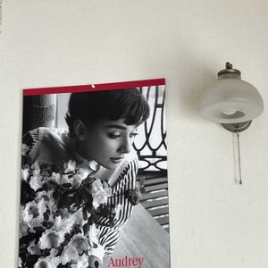 ブーゲンビリア,ヒューケラ,オードリーヘップバーン,ブーゲンビリア 白,ヒューケラグリーンティーの画像