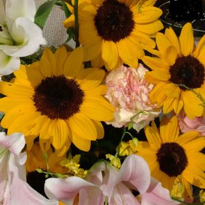 鉢植え,ガーデニング,花束,散策,お祝い花の画像