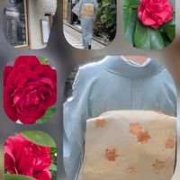 シュウメイギク,ツバキ,バラ,オオベンケイソウの画像