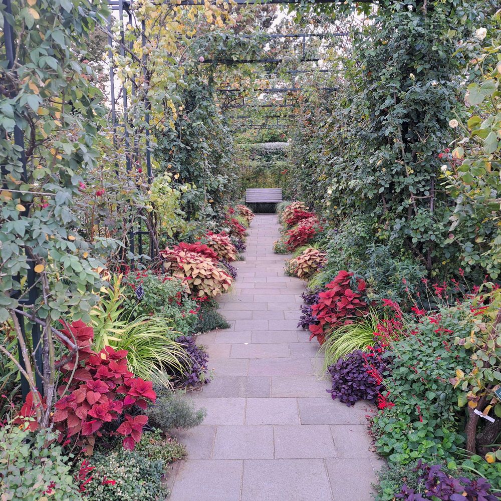 エリィさんの港の見える丘公園への投稿