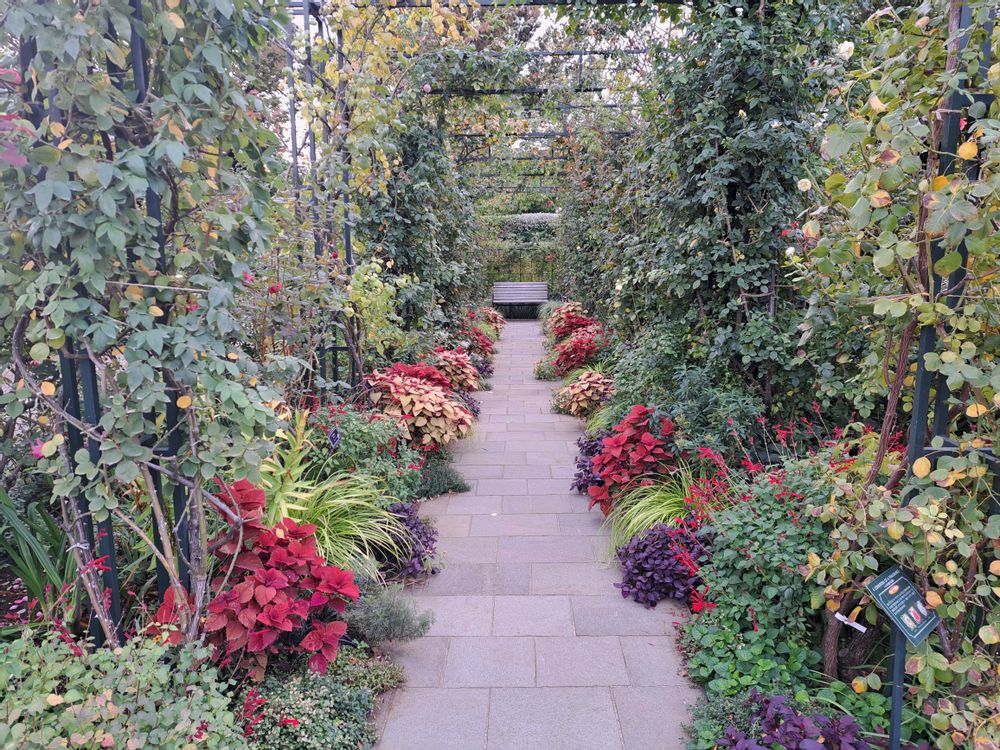 エリィさんの港の見える丘公園への投稿