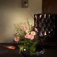 コリウス,ゼラニウム,ナズナ,パニカム,秋桜の画像