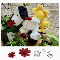 チョコレートコスモス,チョコレートコスモス チョカモカ,ほしつながり,毎月2日はスヌーピーの日,しゃまのべらんだ♪の画像