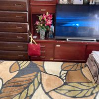 モクレンの画像