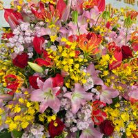 ストック,バラ,グロリオサ,オリエンタルリリー,オンシジュームの画像