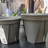 セリア,スリット鉢,横山園芸の画像