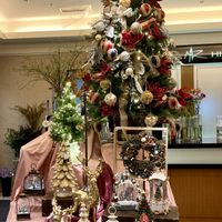 クリスマスツリー,GSのみなさんに感謝♡,花屋の店先,綺麗✨,花ぶら散歩の画像