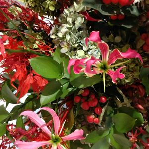 ガーデニング,花束,散策,お祝い花,大谷翔平の画像