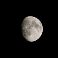 クズ,クズ,コマツナギ,コマツナギ,ヤブマメの画像