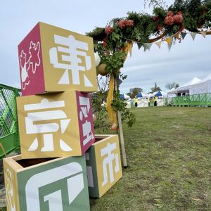 アジサイ,パンパスグラス,アナベル,昭和記念公園,雑貨の画像