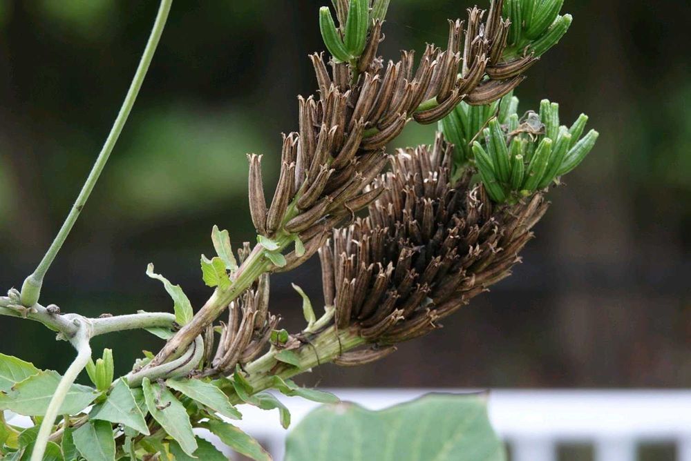 serendipityrumiさんの金沢区への投稿