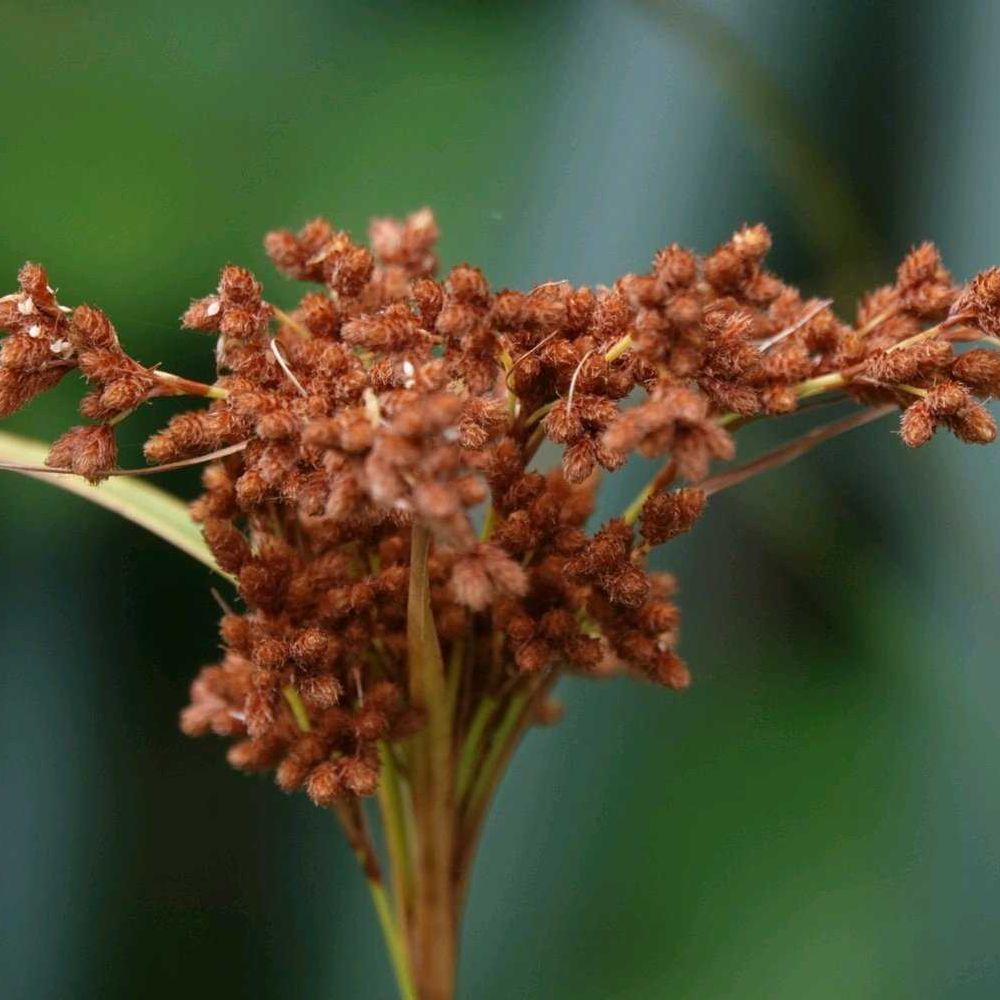 serendipityrumiさんの戸塚区への投稿