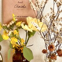 オンシジウム,カーネーション,スターチス,ユーカリ,切り花の画像