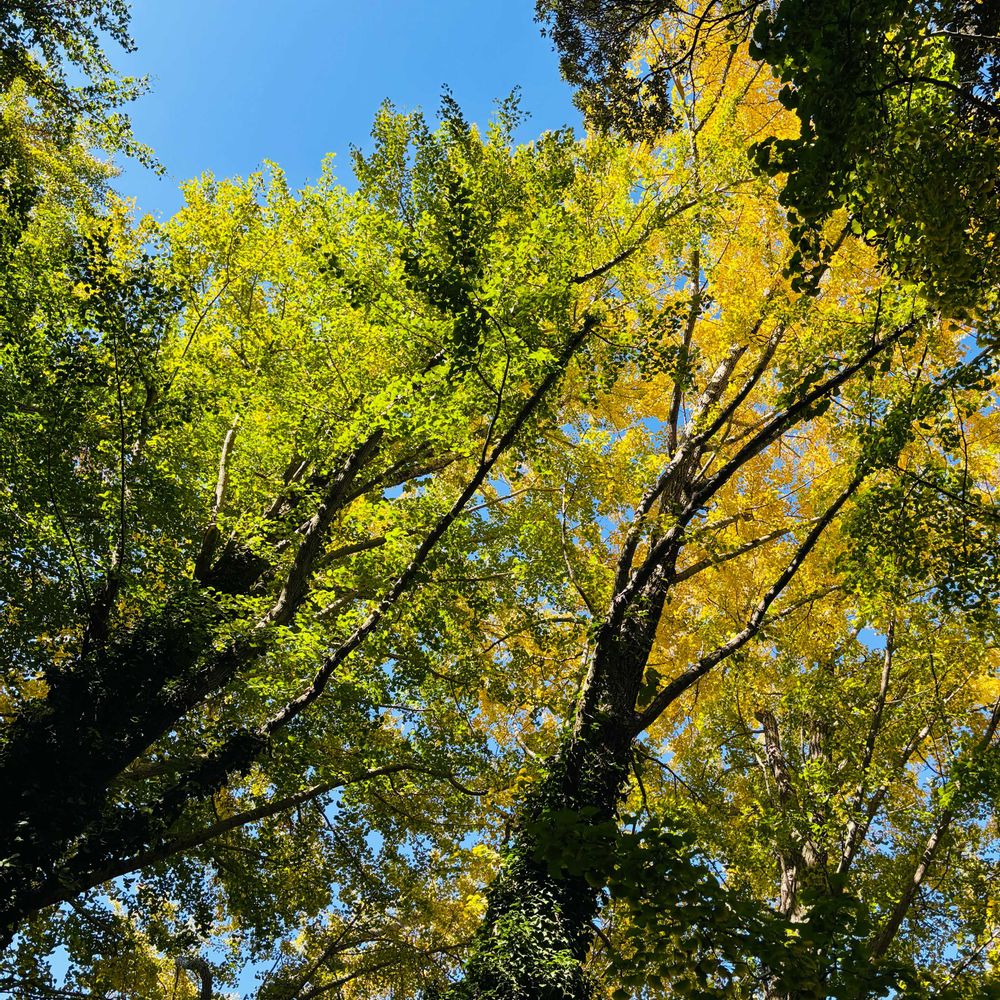 ゆきさんの南区への投稿