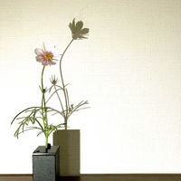 コスモス,一輪挿し,花瓶,花器,花のある暮らしの画像
