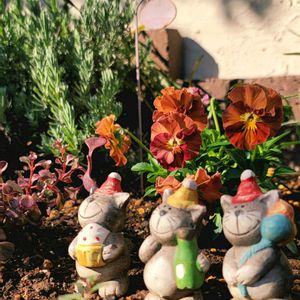 リーフ好き☘.۰•゜,地植え,たにく,かわいいな♡,成長が楽しみの画像