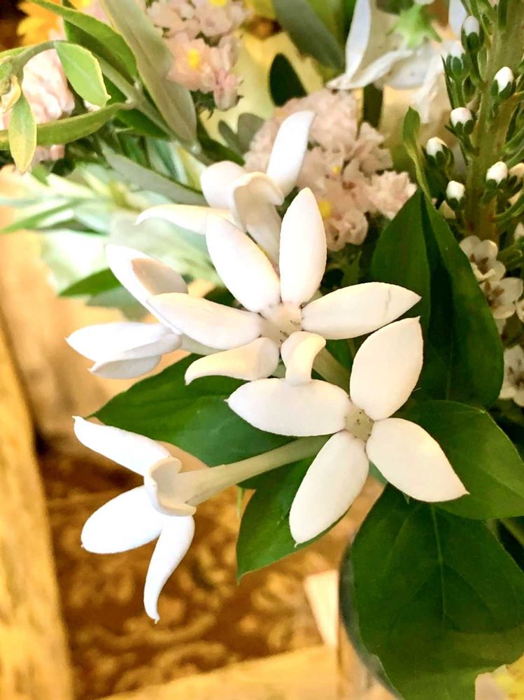 シゲルさんの横浜山手西洋館群への投稿