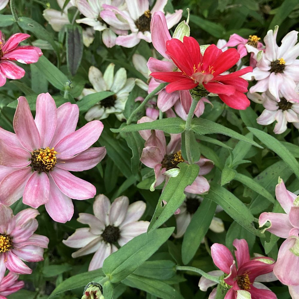 君にバラバラさんの神奈川区への投稿