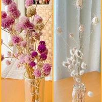 センニチコウ,ニゲラ,ラグラス（バニーテール）,ドライフラワー,癒しの画像