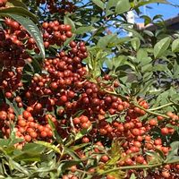 フェンスの画像