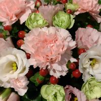 鉢植え,ガーデニング,花束,散策,お祝い花の画像