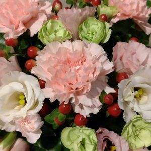 鉢植え,ガーデニング,花束,散策,お祝い花の画像