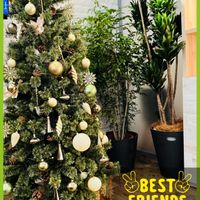 クリスマスツリー♡,クリスマスツリー,冬を感じるの画像