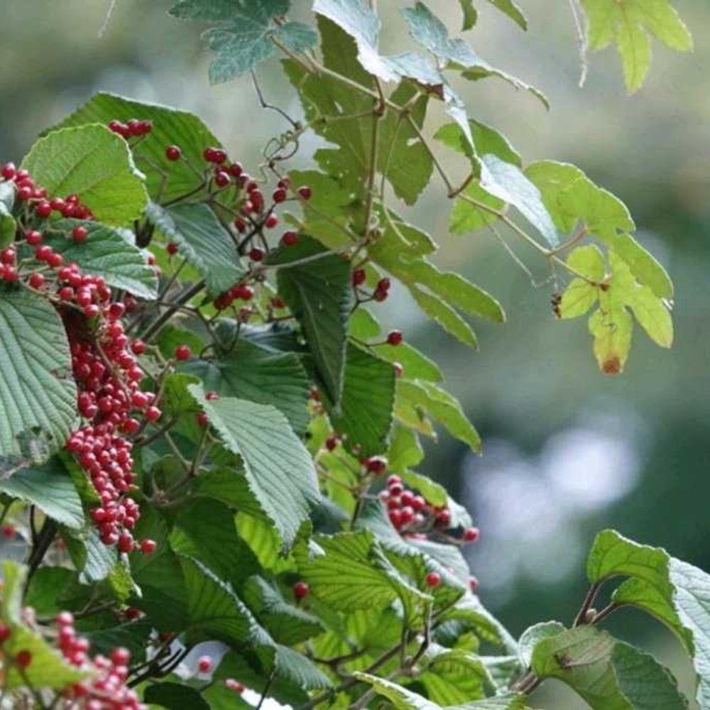 serendipityrumiさんの戸塚区への投稿