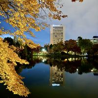 ドウダンツツジ,ナナカマド,ジュンベリー,紅葉（こうよう）,北海道の画像