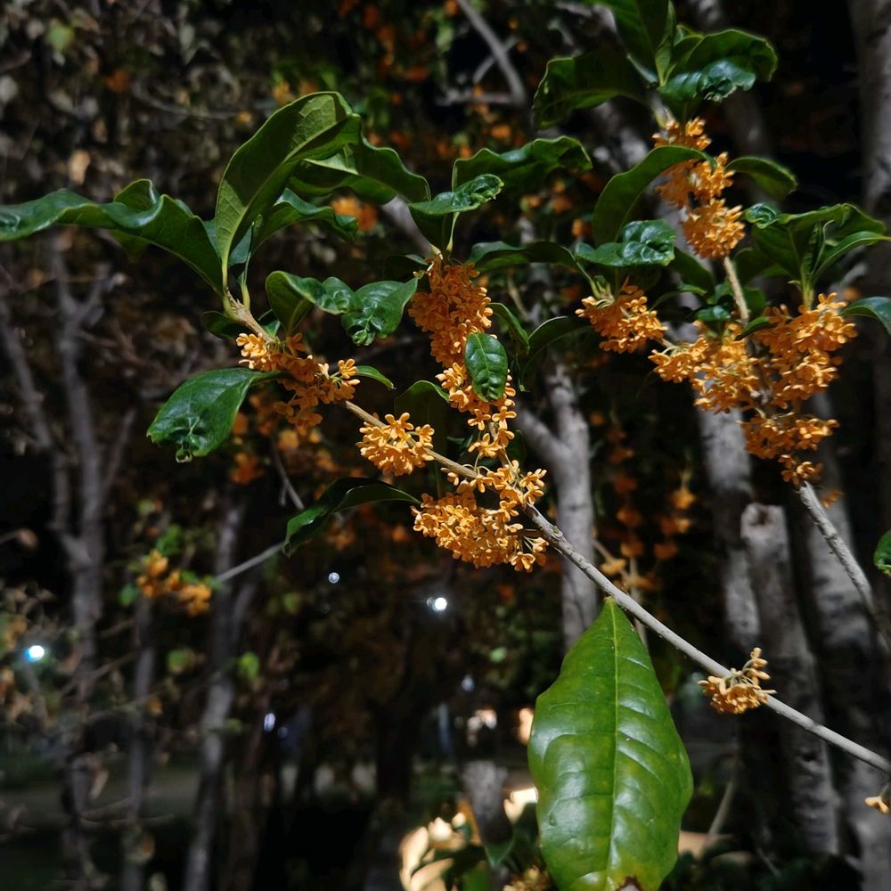 y313Fさんの金沢区への投稿