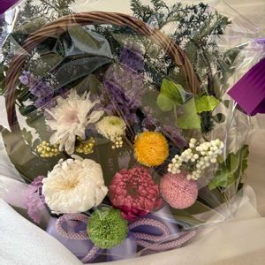 プリザーブドフラワー,プリザーブドフラワー,プリザーブドフラワー,ローゼル(実),ローゼル(実)の画像