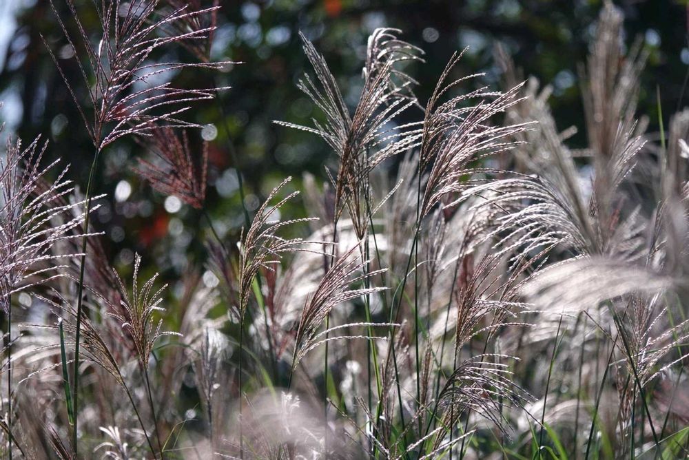 serendipityrumiさんの金沢区への投稿